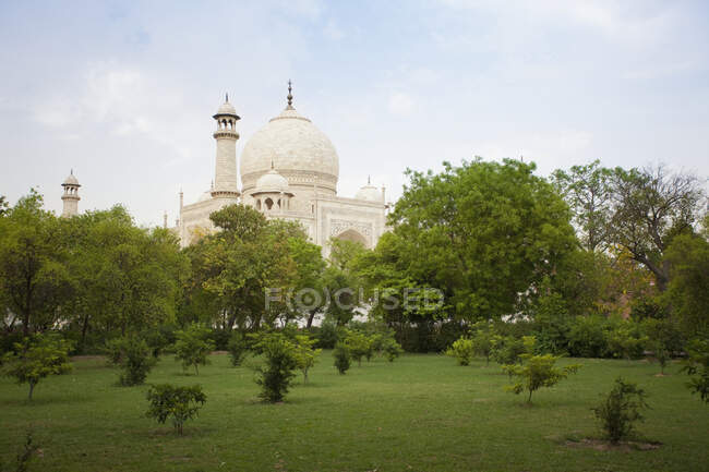 Taj Mahal detrás de árboles en el parque, Agra, Uttar Pradesh, India. - foto de stock
