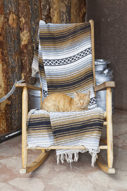 Katze liegt auf einem hölzernen Schaukelstuhl — Stockfoto