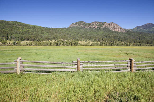 Забор, зеленая мясорубка и живописные горы — стоковое фото