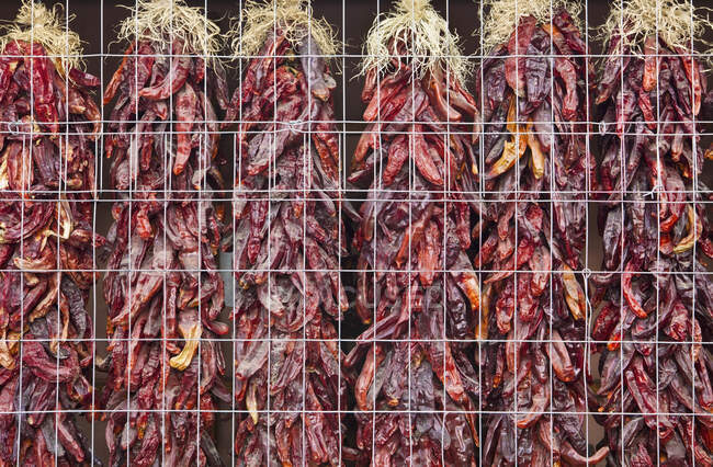 Poivrons rouge, vue en plein champ — Photo de stock