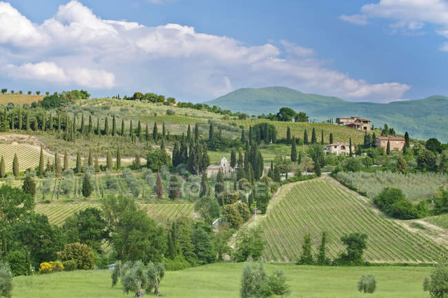 Vista panorámica del paisaje verde ondulado, Toscana, Italia - foto de stock