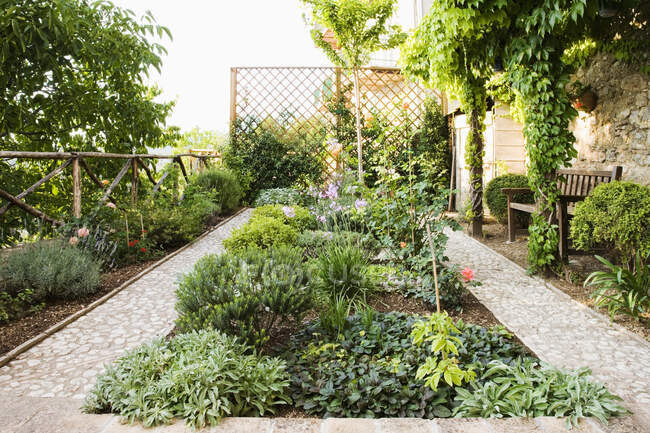 Красивый сад с твердым ландшафтом и стенами — стоковое фото