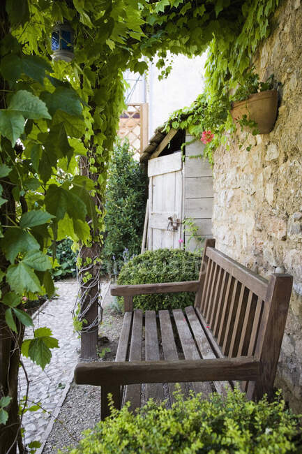 Piante verdi e panca in legno in giardino — Foto stock