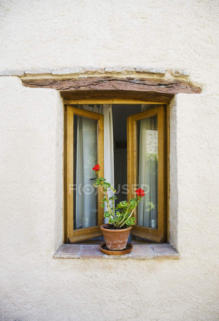 Відкрите вікно і горщики рослини в будівельній стіні — стокове фото