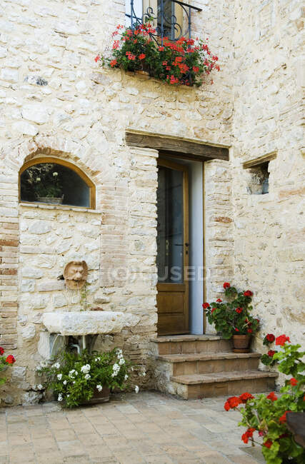 House and courtyard with flowering plants in pots — Stock Photo