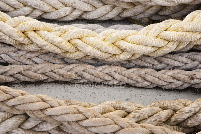 Thick ropes at boating site, close-up — Stock Photo