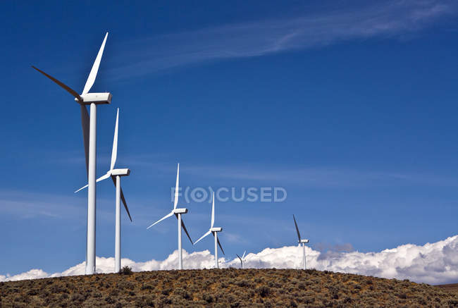 Windräder auf Feldhügeln vor blauem Himmel mit weißen Wolken — Stockfoto