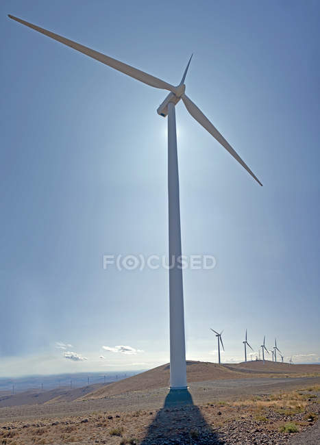 Вітрові турбіни на польових пагорбах проти блакитного неба з білими хмарами — стокове фото
