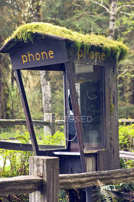 Moss covered phone in booth in Forks, Washington, USA — Stock Photo