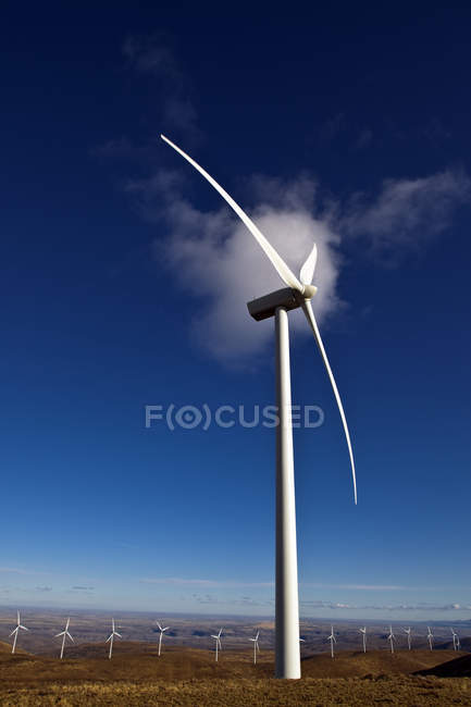 Turbina eólica girando en el parque eólico del país - foto de stock