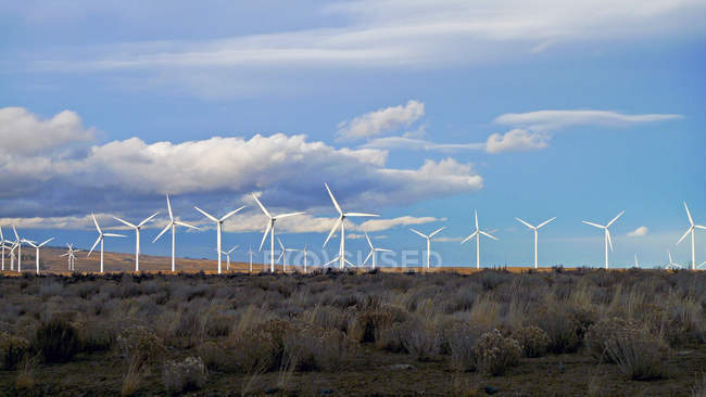 Wind turbines rotating in countryside field — Stock Photo