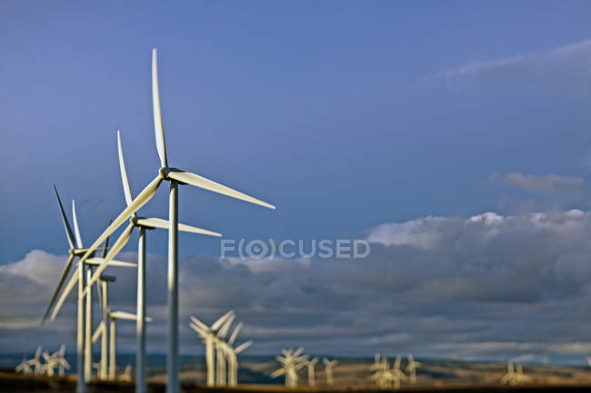 Les éoliennes tournent dans le champ rural — Photo de stock