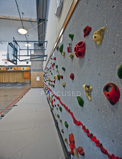 Primer plano de la pared de escalada en el gimnasio de la escuela primaria - foto de stock