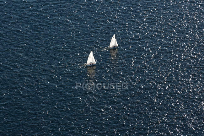 Sailboats in ocean in Seattle, Washington, USA — Stock Photo