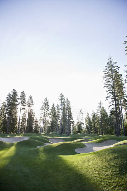 Arbres entourant le terrain de golf avec des pièges à sable, Washington, États-Unis — Photo de stock