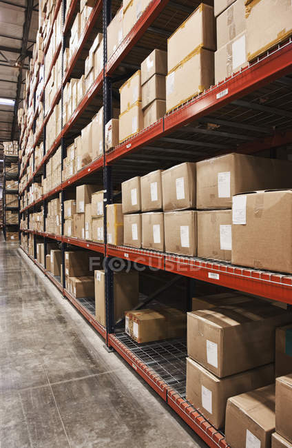 Cardboard boxes on shelves in warehouse, Sumner, Washington, USA — Stock Photo