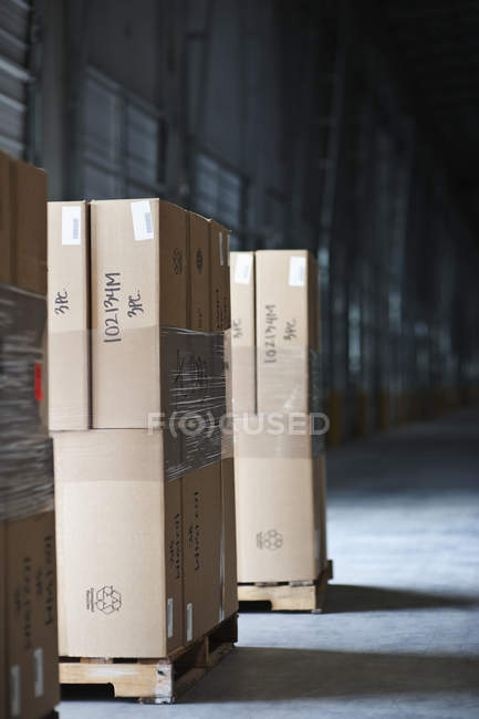 Paletes de caixas empilhadas em armazém industrial — Fotografia de Stock