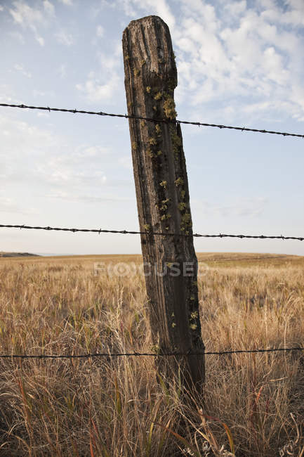 Esgrima de arame farpado e poste de madeira com campo agrícola sazonal, Washington, EUA — Fotografia de Stock