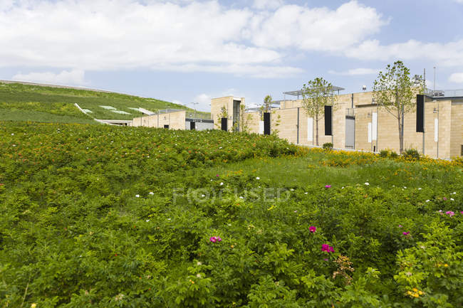 Edificio in campo verde nella campagna di Napoli, Italia, Europa — Foto stock