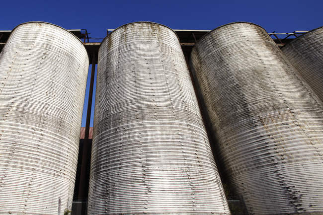 Concrete silos in a row in countryside against blue sky, Tampa, Florida, USA — Stock Photo