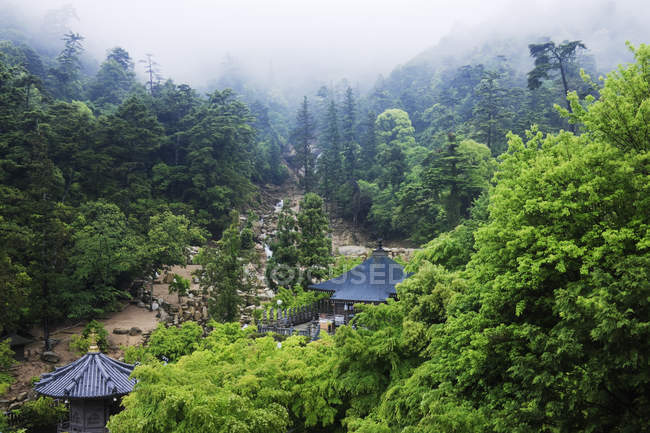 Jardín en el templo sintoísta de montaña en el bosque japonés, isla de Honshu, Japón - foto de stock
