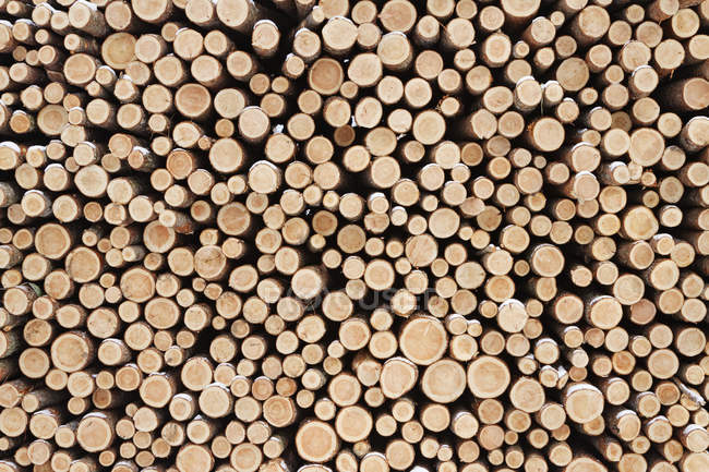 Quadro completo de troncos de corte de madeira empilhados — Fotografia de Stock