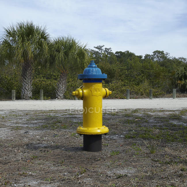 Hidrante de fuego de playa con palmeras tropicales en el fondo - foto de stock