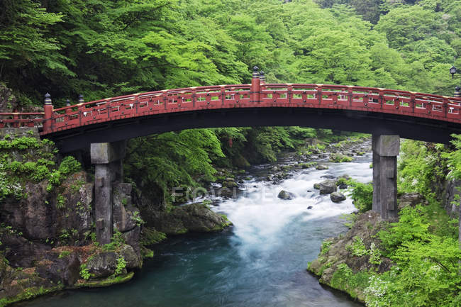 Rio de passagem de ponte asiática em madeiras de Nikko, Japão — Fotografia de Stock