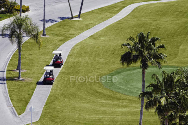 Високий кут огляду візків на зеленому полі для гольфу — стокове фото