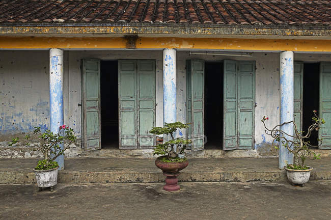 Potted pants in front of weathered building in Hoi An, Vietnam — Stock Photo