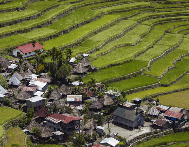 Vista aérea del arrozal en terrazas y la aldea, Banaue, provincia de Infugao, Filipinas - foto de stock