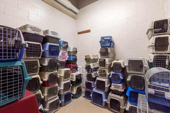 Empty pet crates stacked in room in animal shelter — Stock Photo