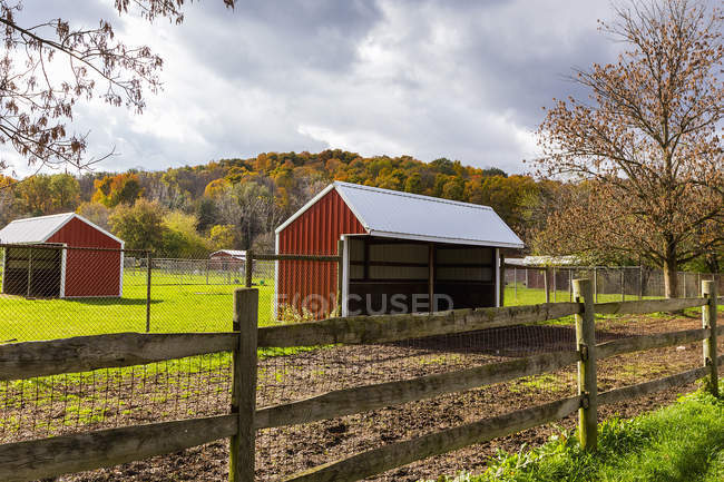 Fienile in fattoria rurale, Fairport, New York, Stati Uniti — Foto stock