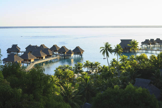 Palmeiras com vista para o resort tropical, Bora Bora, Polinésia Francesa — Fotografia de Stock
