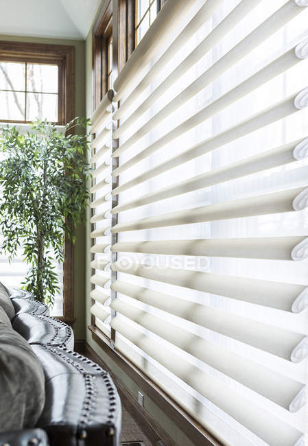 Blinds on window in living room with potted green plant — Stock Photo