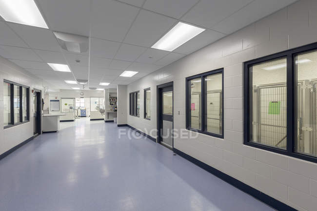 Windows and doors in empty animal shelter — Stock Photo