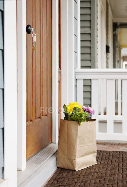Grocery bag on front stoop of rural house — Stock Photo