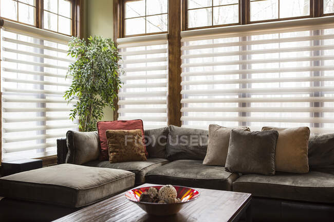 Sofa and blinds in living room — Stock Photo