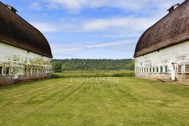 Anciennes granges à la ferme, Olympia, Washington, États-Unis — Photo de stock