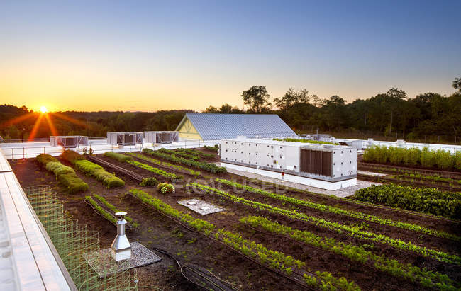 Sunrise over rooftop garden in countryside farmland — Stock Photo