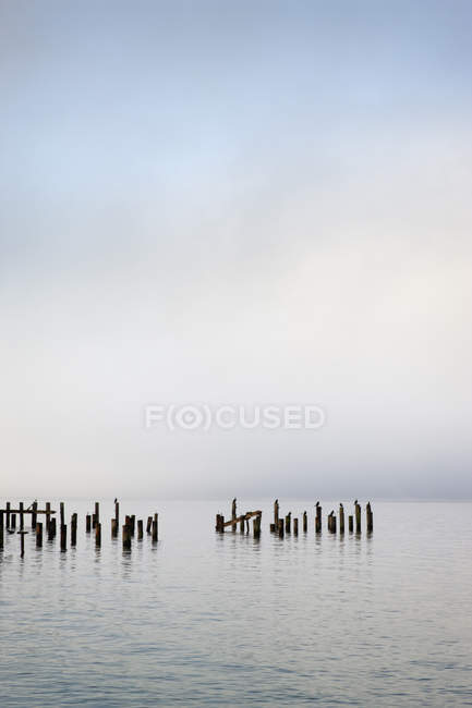 Wooden poles in ocean under cloudy sky — Stock Photo