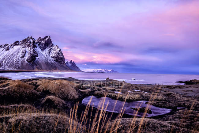 Montañas sobre la playa y plantas de campo remotas en Islandia - foto de stock