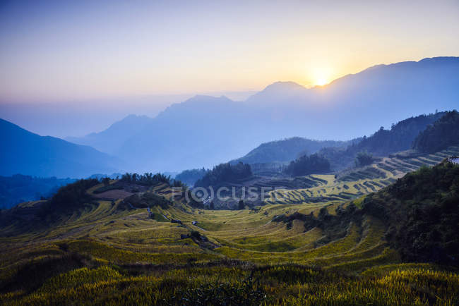 Reisfeld und Sonne in ländlicher Berglandschaft — Stockfoto