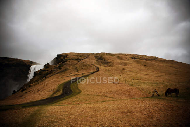 Caminho sinuoso perto de cachoeira com cavalo pastando na Islândia — Fotografia de Stock
