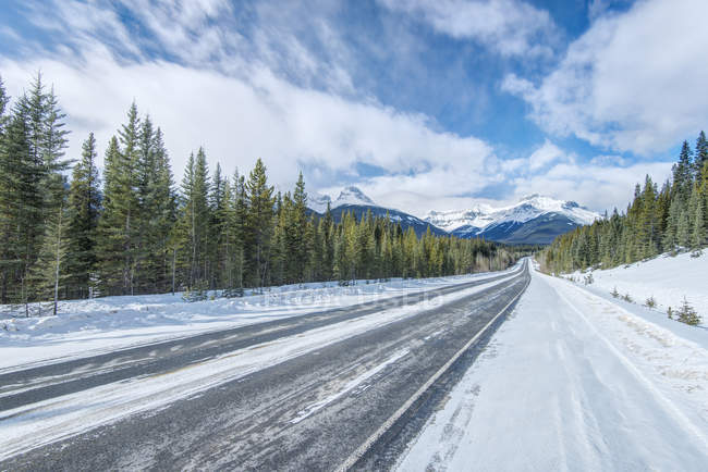 Estrada nevada que leva através de madeiras para montanhas — Fotografia de Stock