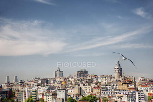 Istanbul città skyline sotto il cielo blu, Turchia — Foto stock