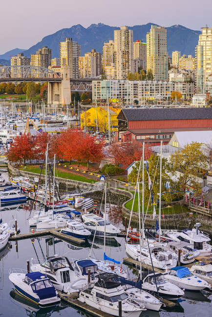 Hochwinkelaufnahme von Booten, die im Vancouver-Hafen anlegen, britisch Columbia, Kanada — Stockfoto