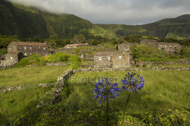 Campo de flores fuera del pueblo rural con antiguas casas de piedra - foto de stock