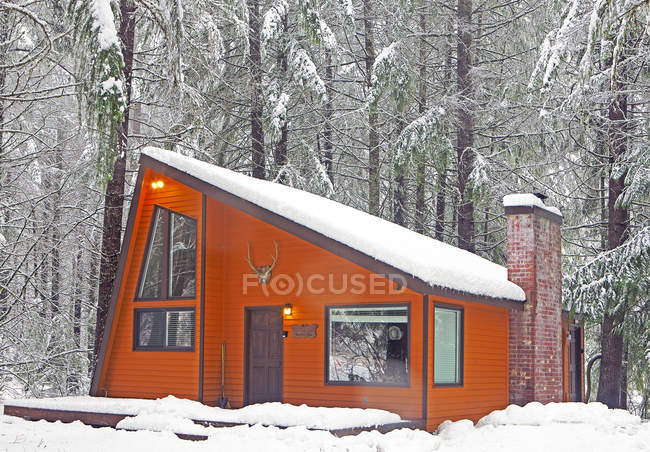 Moderne Holzhütte im verschneiten Wald mit schneebedeckten Bäumen — Stockfoto