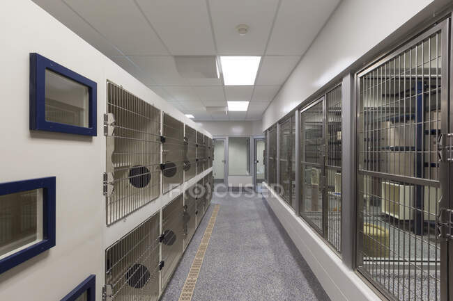 Portas metálicas de gaiolas vazias em abrigo de animais — Fotografia de Stock
